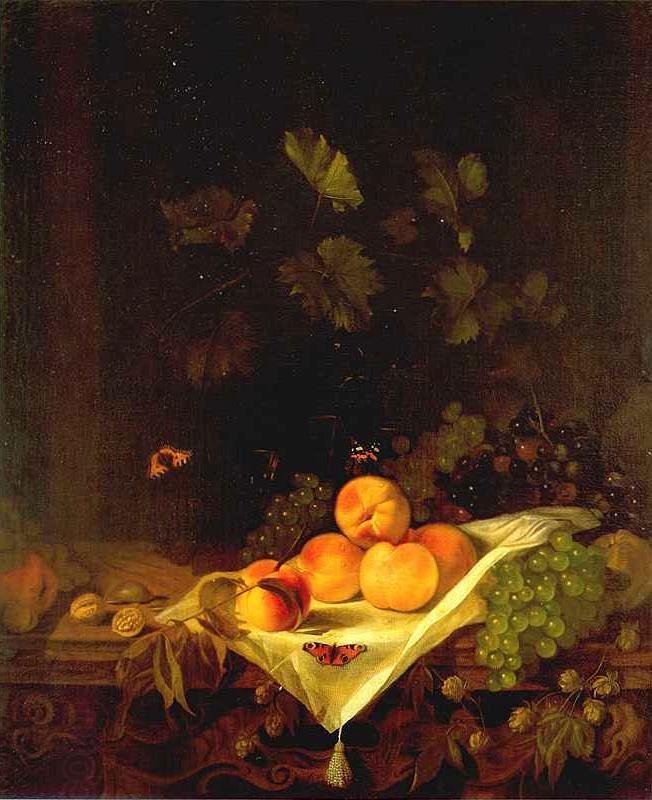 CALRAET, Abraham van Still-life with Peaches and Grapes China oil painting art